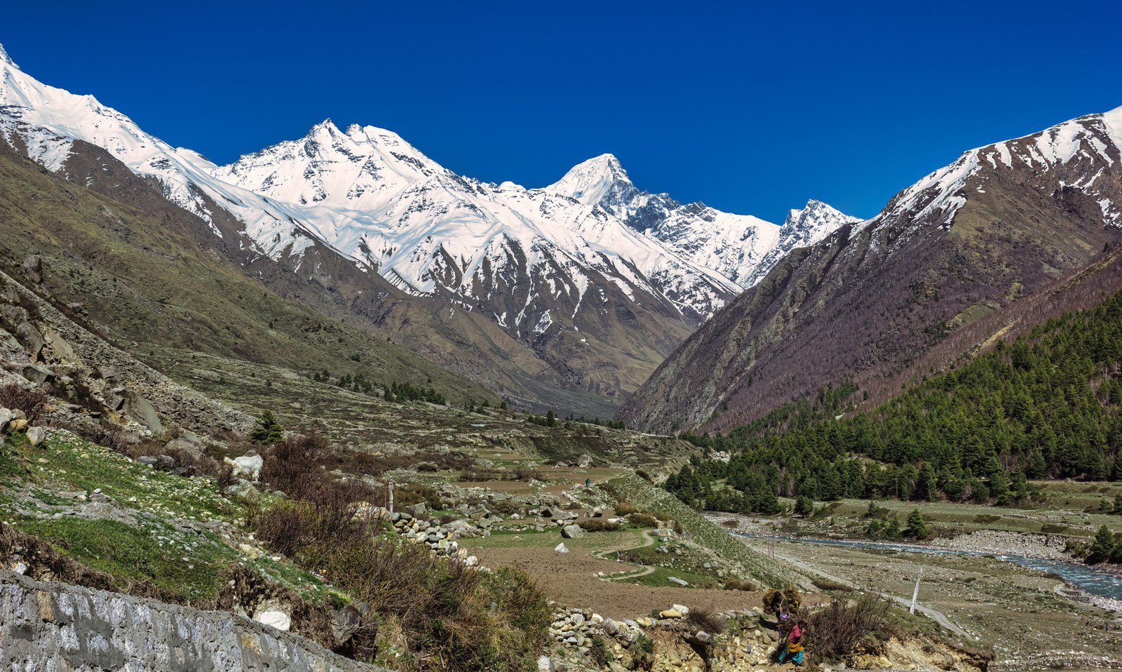 himalayan view from char dham yatra